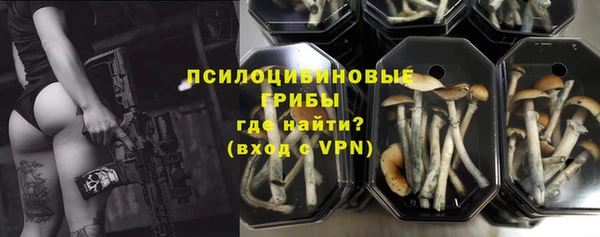 первитин Арсеньев