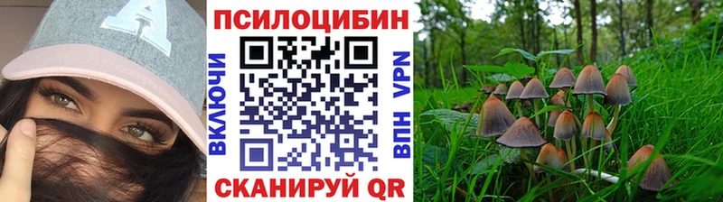 Галлюциногенные грибы GOLDEN TEACHER  Игарка 